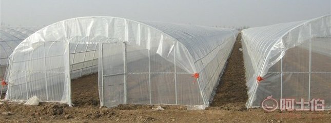 溫室大棚配件與花卉大棚骨架機 現(xiàn)代化農(nóng)業(yè)生產(chǎn)的堅實支撐